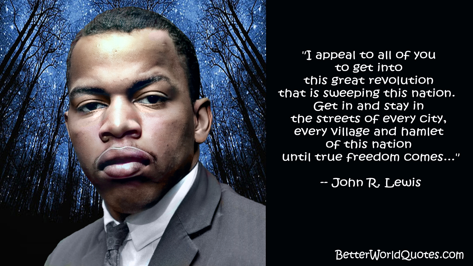 John R. Lewis: I appeal to all of you to get into this great revolution that is sweeping this nation.  Get in and stay in the streets of every city, every village and hamlet of this nation until true freedom comes...